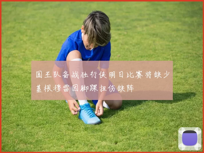 国王队备战独行侠明日比赛将缺少基根穆雷因脚踝扭伤缺阵