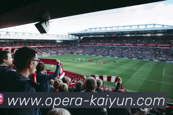 开云体育平台生态图