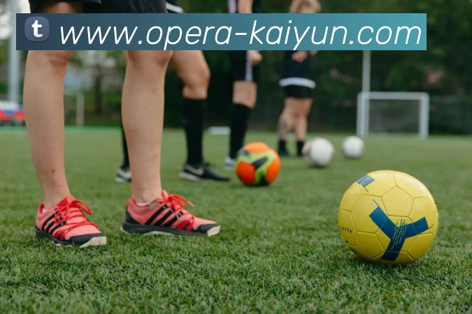 开云体育APP 封面图